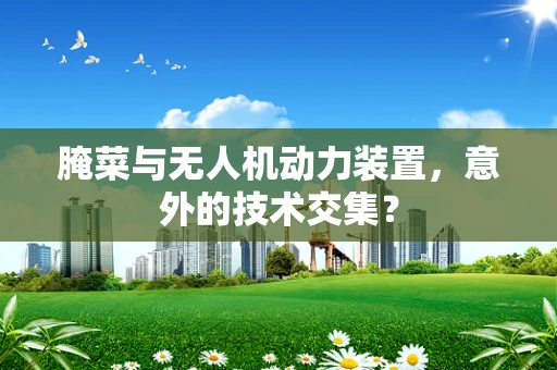 腌菜与无人机动力装置，意外的技术交集？