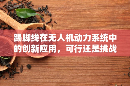 踢脚线在无人机动力系统中的创新应用，可行还是挑战？