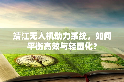 靖江无人机动力系统，如何平衡高效与轻量化？