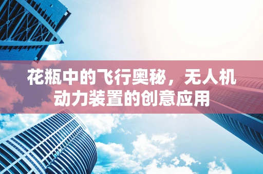 花瓶中的飞行奥秘，无人机动力装置的创意应用