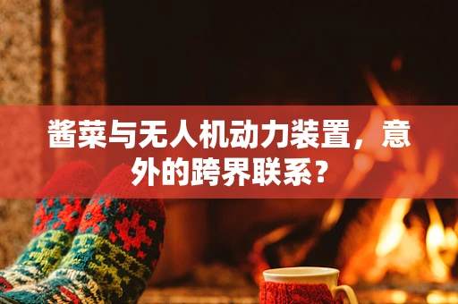 酱菜与无人机动力装置，意外的跨界联系？