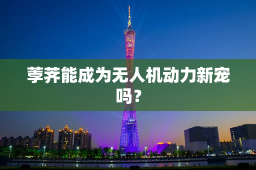 荸荠能成为无人机动力新宠吗？