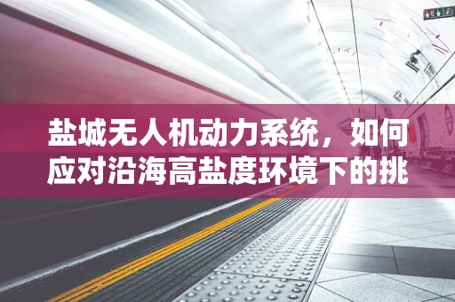盐城无人机动力系统，如何应对沿海高盐度环境下的挑战？