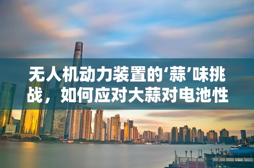 无人机动力装置的‘蒜’味挑战，如何应对大蒜对电池性能的潜在影响？