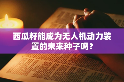 西瓜籽能成为无人机动力装置的未来种子吗？