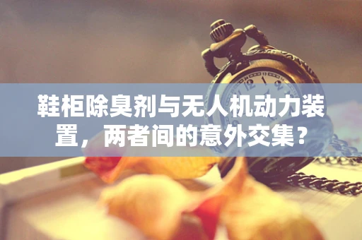 鞋柜除臭剂与无人机动力装置，两者间的意外交集？