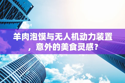 羊肉泡馍与无人机动力装置，意外的美食灵感？