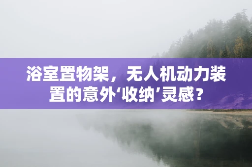 浴室置物架，无人机动力装置的意外‘收纳’灵感？