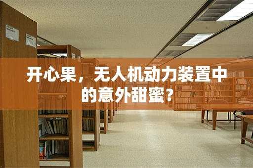 开心果，无人机动力装置中的意外甜蜜？