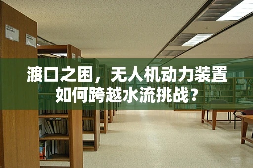 渡口之困，无人机动力装置如何跨越水流挑战？