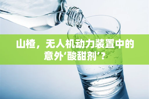 山楂，无人机动力装置中的意外‘酸甜剂’？