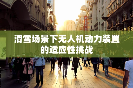 滑雪场景下无人机动力装置的适应性挑战