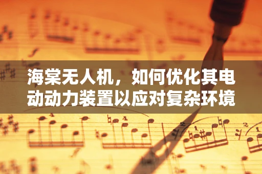 海棠无人机，如何优化其电动动力装置以应对复杂环境？
