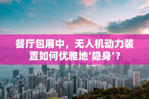 餐厅包厢中，无人机动力装置如何优雅地‘隐身’？