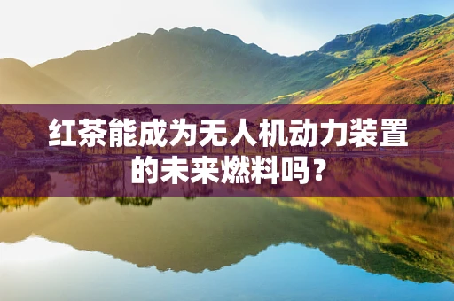 红茶能成为无人机动力装置的未来燃料吗？