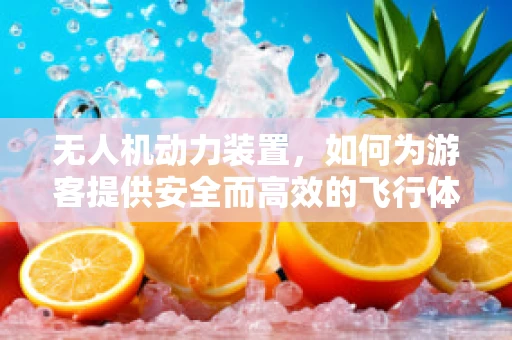 无人机动力装置，如何为游客提供安全而高效的飞行体验？