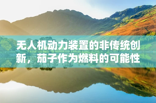 无人机动力装置的非传统创新，茄子作为燃料的可能性？