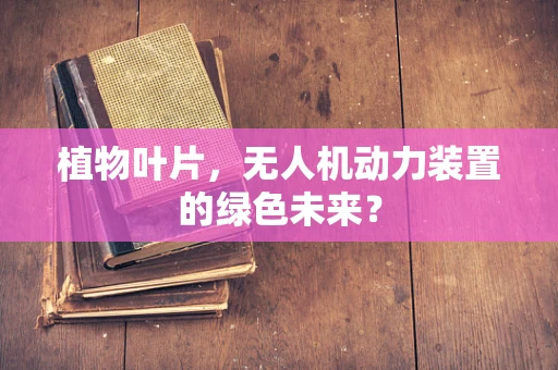 植物叶片，无人机动力装置的绿色未来？