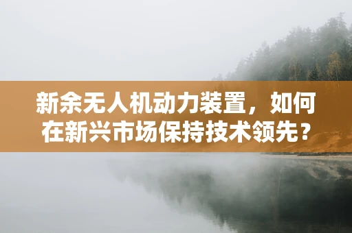 新余无人机动力装置，如何在新兴市场保持技术领先？