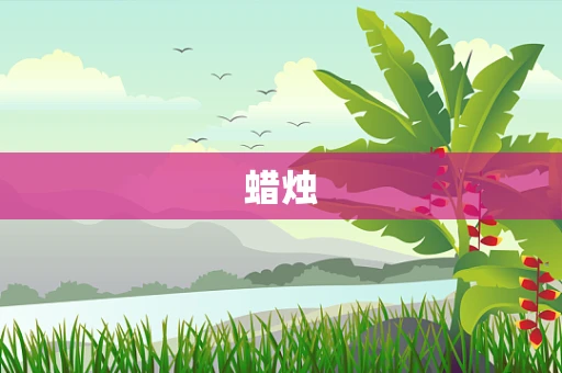 蜡烛