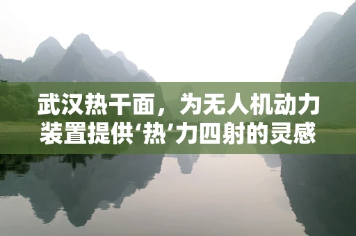 武汉热干面，为无人机动力装置提供‘热’力四射的灵感？