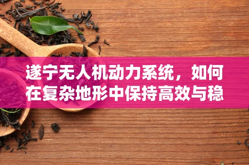 遂宁无人机动力系统，如何在复杂地形中保持高效与稳定？