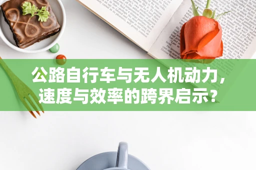 公路自行车与无人机动力，速度与效率的跨界启示？