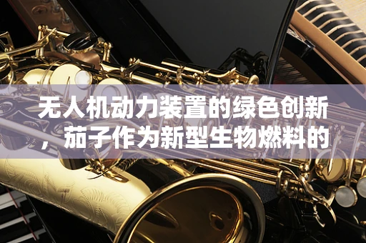 无人机动力装置的绿色创新，茄子作为新型生物燃料的可能性？