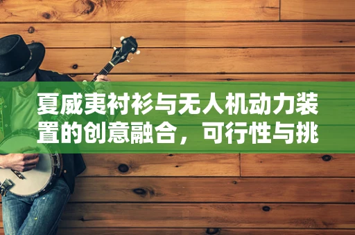 夏威夷衬衫与无人机动力装置的创意融合，可行性与挑战何在？