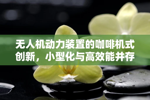 无人机动力装置的咖啡机式创新，小型化与高效能并存的挑战？