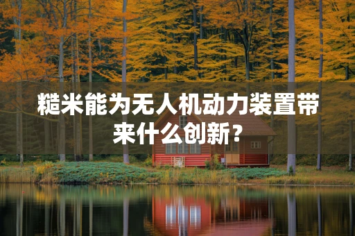 糙米能为无人机动力装置带来什么创新？