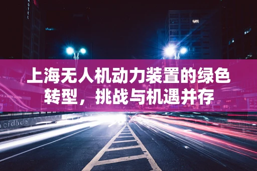 上海无人机动力装置的绿色转型，挑战与机遇并存
