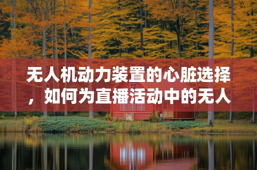 无人机动力装置的心脏选择，如何为直播活动中的无人机选择合适的动力系统？