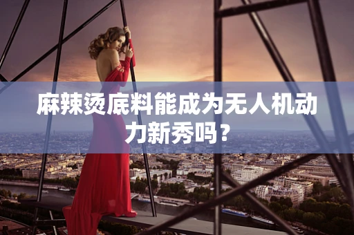 麻辣烫底料能成为无人机动力新秀吗？
