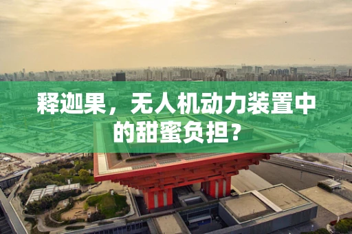 释迦果，无人机动力装置中的甜蜜负担？
