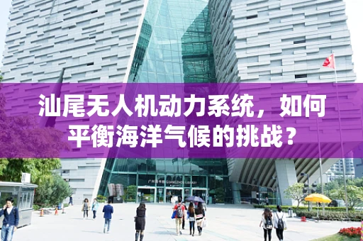 汕尾无人机动力系统，如何平衡海洋气候的挑战？