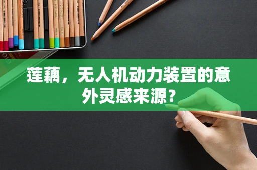 莲藕，无人机动力装置的意外灵感来源？