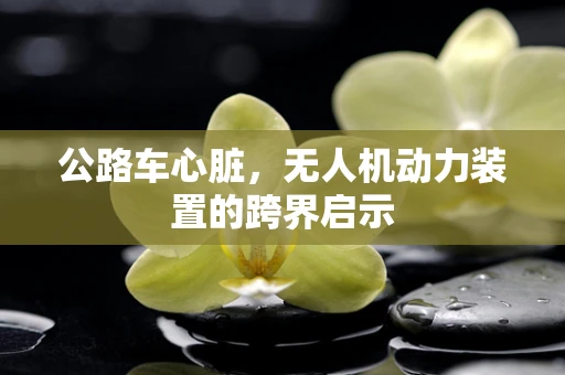 公路车心脏，无人机动力装置的跨界启示