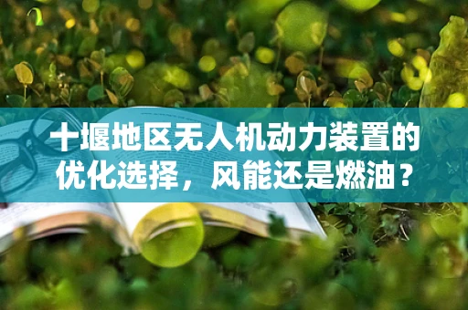 十堰地区无人机动力装置的优化选择，风能还是燃油？