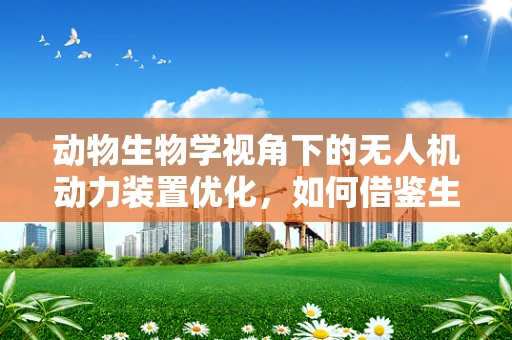 动物生物学视角下的无人机动力装置优化，如何借鉴生物飞行原理？