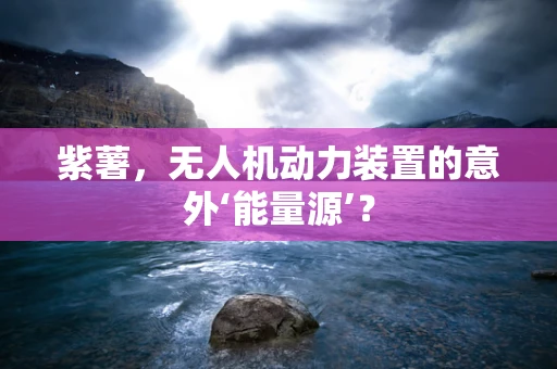 紫薯，无人机动力装置的意外‘能量源’？