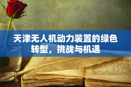 天津无人机动力装置的绿色转型，挑战与机遇