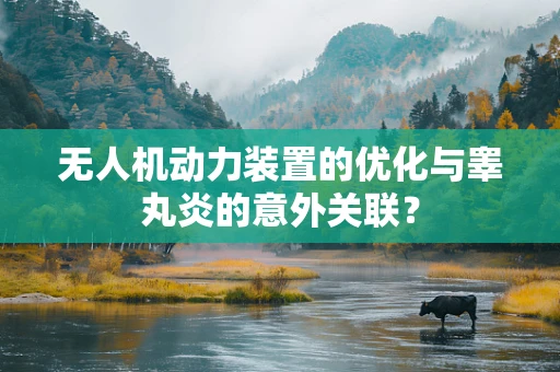 无人机动力装置的优化与睾丸炎的意外关联？