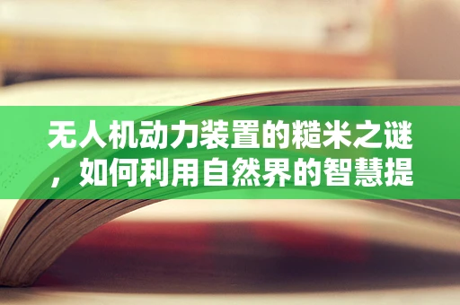 无人机动力装置的糙米之谜，如何利用自然界的智慧提升续航力？