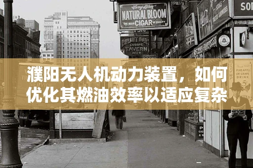 濮阳无人机动力装置，如何优化其燃油效率以适应复杂地形？