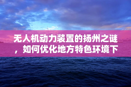 无人机动力装置的扬州之谜，如何优化地方特色环境下的飞行效率？