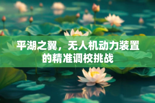 平湖之翼，无人机动力装置的精准调校挑战