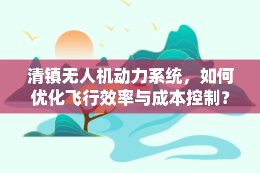 清镇无人机动力系统，如何优化飞行效率与成本控制？