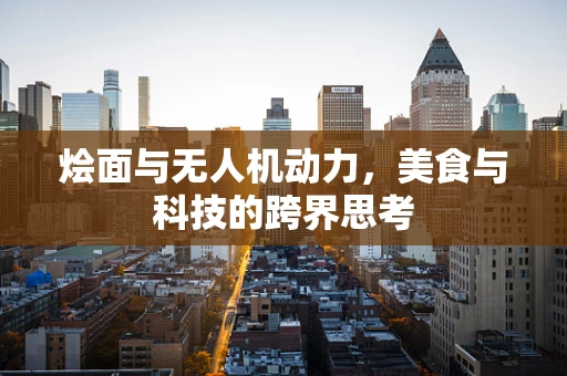烩面与无人机动力，美食与科技的跨界思考