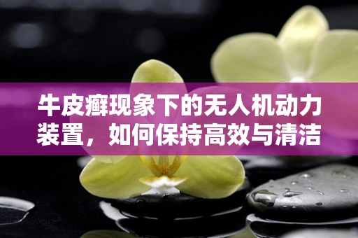 牛皮癣现象下的无人机动力装置，如何保持高效与清洁？